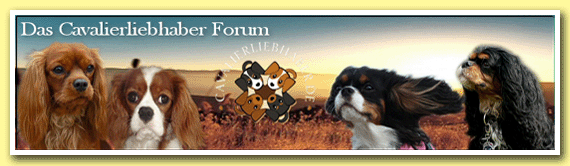 banner_cavalierliebhaber.gif